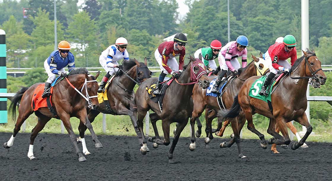 Racing at Presque Isle Downs & Casino in Erie,PA