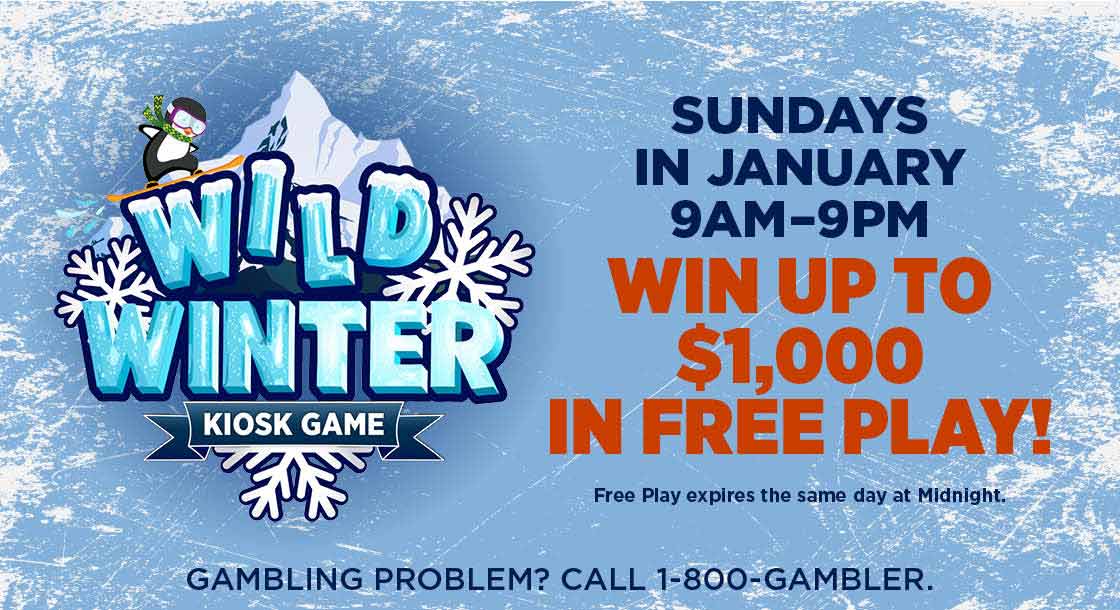 Wild Winter Kiosk